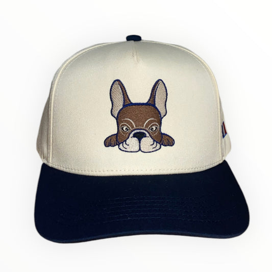 French bulldog